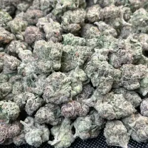 Ya Hemi — Sativa Strain — THCa Flower — 39.58% — Private Reserve - Image 3