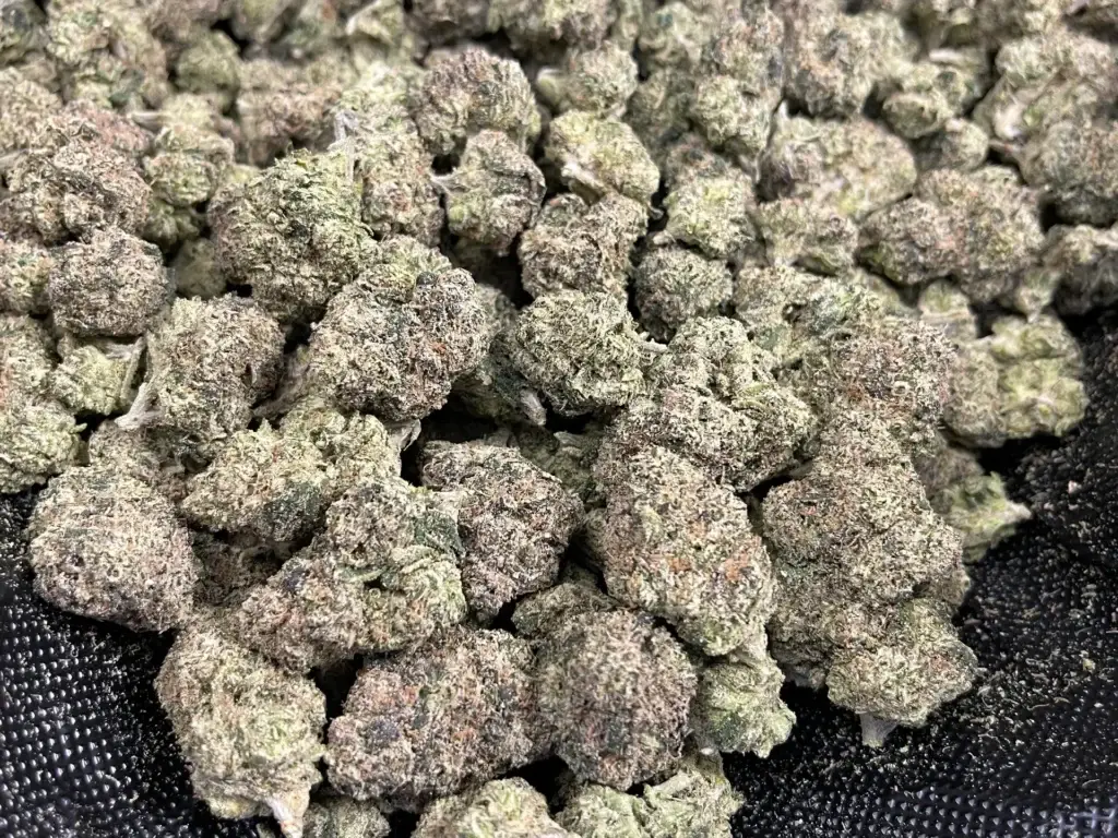 THCa Pounds for Sale: Retail Pricing Guide 2025 @ FrostyClub.com - Free Overnight Shipping!