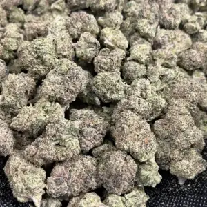 THCa Pounds for Sale: Retail Pricing Guide 2025 @ FrostyClub.com - Free Overnight Shipping!