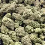 Prohibition Sour THCa Flower Sativa