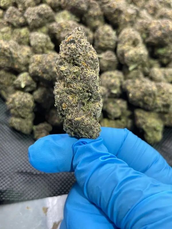 ATX OG ATX OG