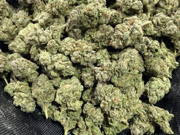 Red Bull THCa Flower Indica