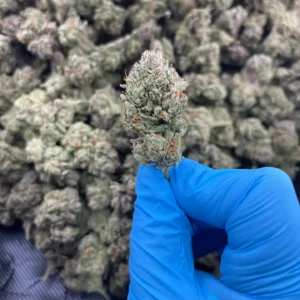 Red Bull THCa Flower Indica