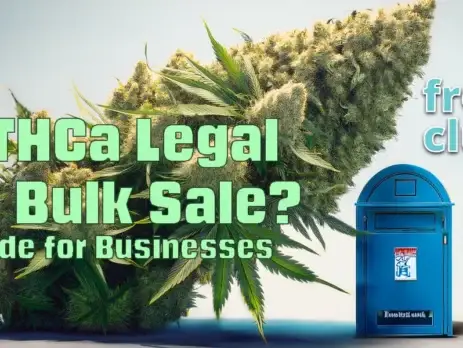 Is THCa Legal for Bulk Sale? A Guide for Businesses @ Frosty Club - Best THCa Wholesale
