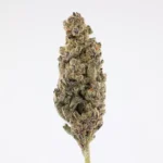 Kept Secret Smalls THCa Flower Indica