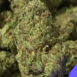 Prohibition Sour THCa Flower Sativa