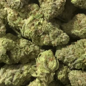 Prohibition Sour THCa Flower Sativa