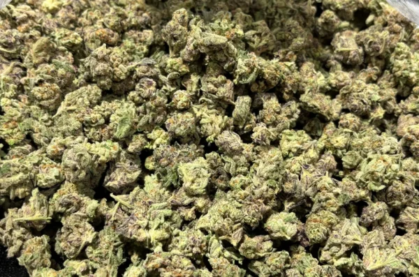 Eddy White Smalls THCa Flower Hybrid Eddy White Smalls THCa Flower Hybrid
