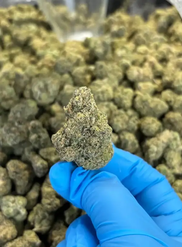 Gas Face THCa Flower Indica