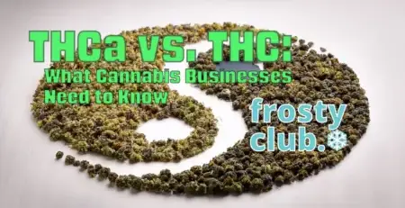 THCa vs. THC for Bulk Cannabis Buyers @ FrostyClub.com BLOGS - Best Wholesale THCa