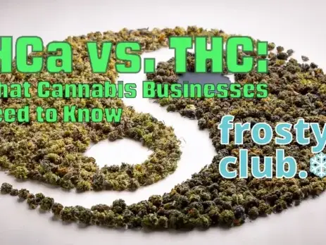 THCa vs. THC for Bulk Cannabis Buyers @ FrostyClub.com BLOGS - Best Wholesale THCa