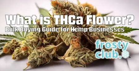 What is THCa Flower? Bulk Buying Guide for Hemp Businesses from FrostyClub.com Blogs - Best THCa Wholesale!