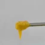 Wonderbread Live Resin THCa Hybrid