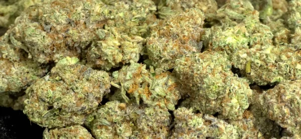 Cherry Cheesecake THCa Flower Indica
