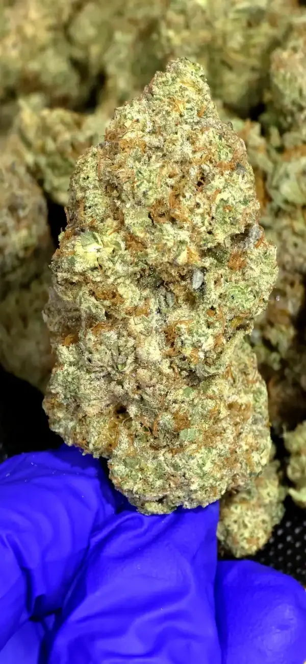 Cherry Cheesecake THCa Flower Indica