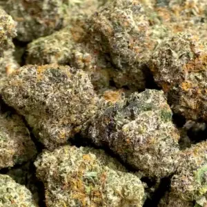 Cruise Control THCa Flower Sativa