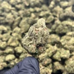 Gorilla Glue - Indica Strain - Exotic THCa Flower - 32.66%