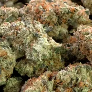 Headband THCa Flower Indica
