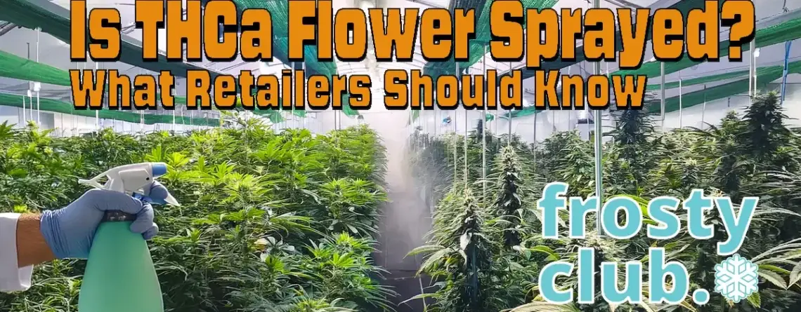 Is THCa Flower Sprayed? Safety & Compliance for Retailers @ FrostyClub.com - Best THCa Wholesale