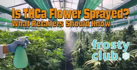 Is THCa Flower Sprayed? Safety & Compliance for Retailers @ FrostyClub.com - Best THCa Wholesale