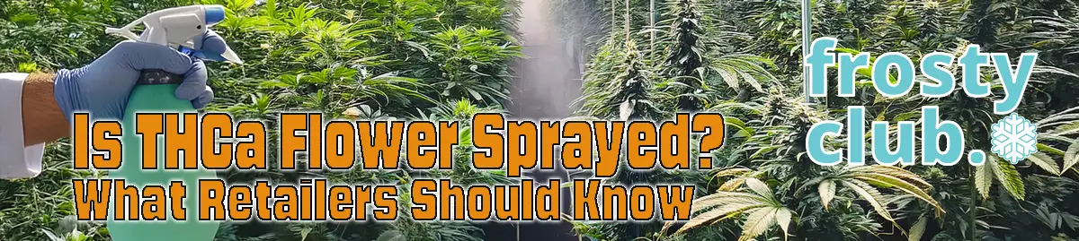 Is THCa Flower Sprayed? Safety & Compliance for Retailers @ FrostyClub.com - Best THCa Wholesale