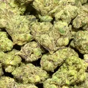 OGKB (S) - 40.6% THCa - PR - Image 1