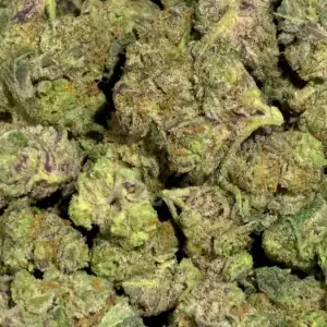 Red Bull (S) - 33.45% THCa - EX - Image 1