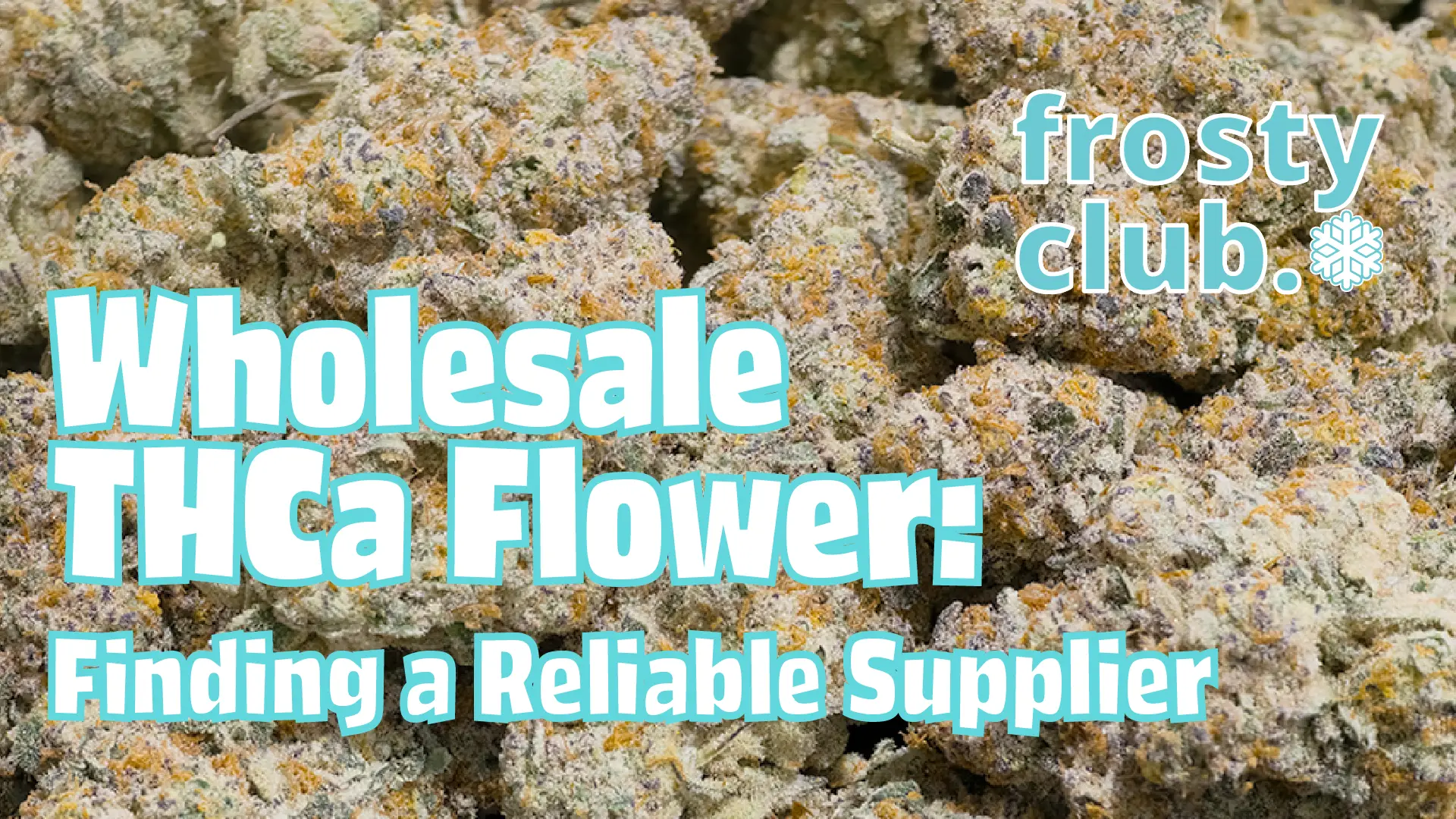 Wholesale THCa Flower: How to Find a Reliable Supplier @ HighHippy.com
