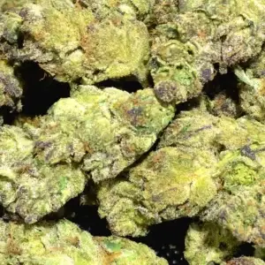 Airheadz - Indica Strain - Exotic THCa Flower - 32.02% - Image 2