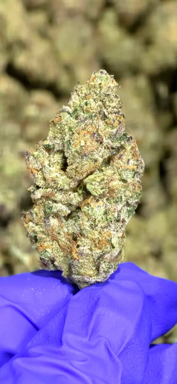 Airheadz
