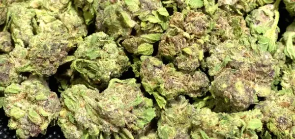 Apple Fritter 2