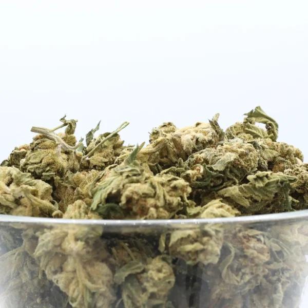 Bomb Pop THCa Flower Hybrid Bomb Pop THCa Flower Hybrid