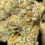 Cherry Bomb PR