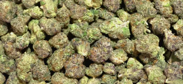 Cruise Control Smalls THCa Flower Sativa