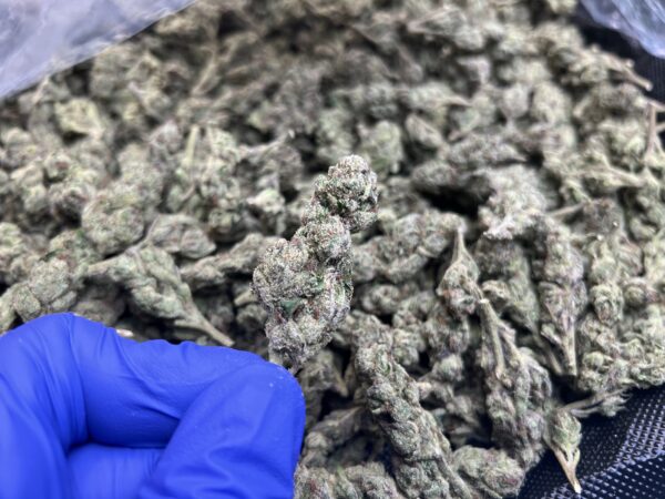 El Chivo THCa Flower Indica