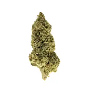 Apple Fritter 1 - THCa Flower - Hybrid Strain - 27.88% - Light Dep - Image 1