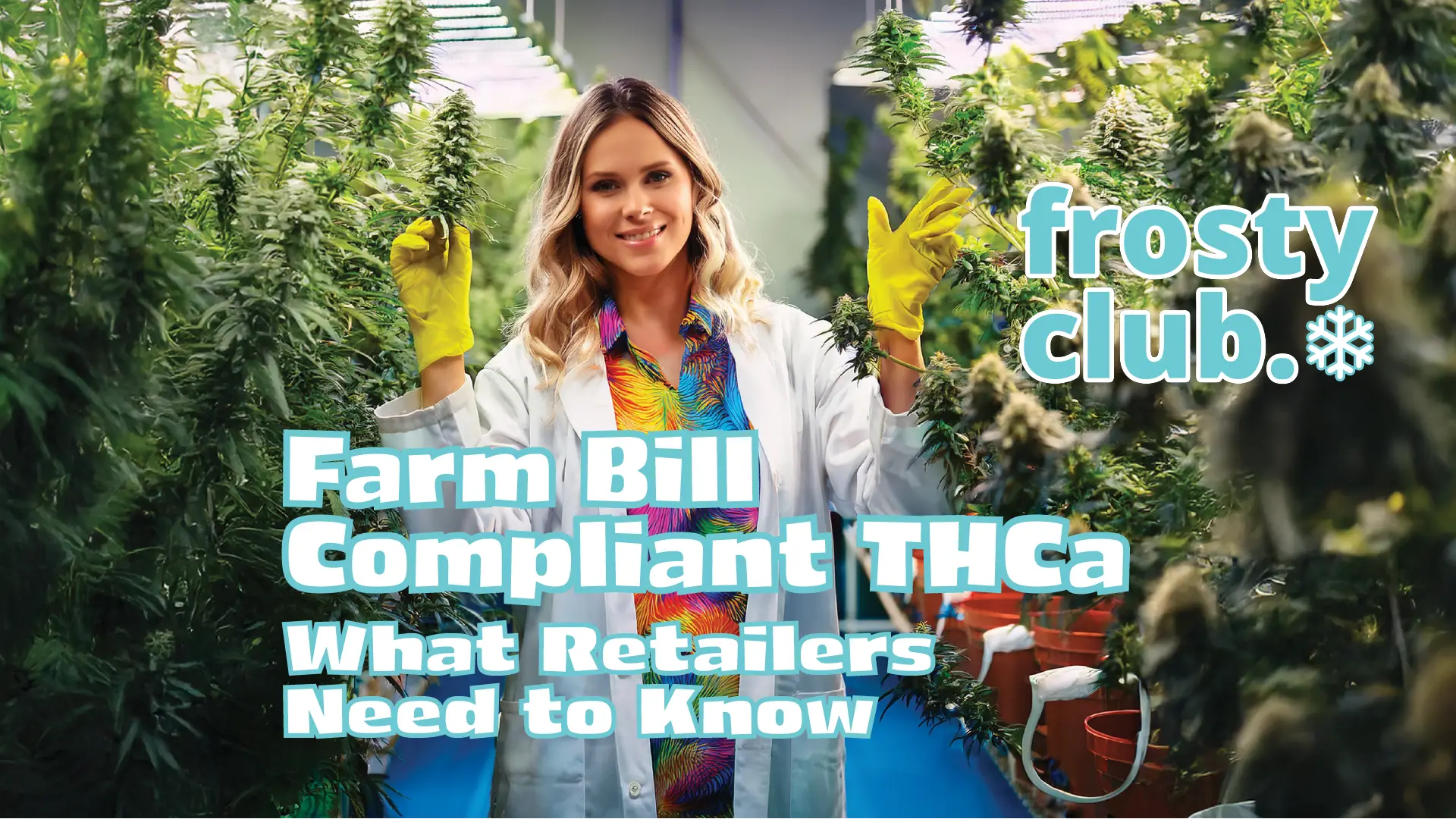 Farm Bill Compliant THCa: What Retailers Need to Know @ FrostyClub.com Blogs - Best THCa Wholesale