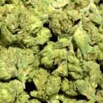 Ice Cream Gelato Smalls THCa Flower Indica