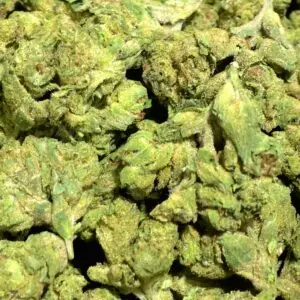 Ice Cream Gelato Smalls THCa Flower Indica