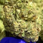 Jilly Bean - THCa Flower - Sativa - 35.37% - Private Reserve