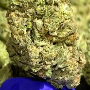 Jilly Bean - THCa Flower - Sativa - 35.37% - Private Reserve