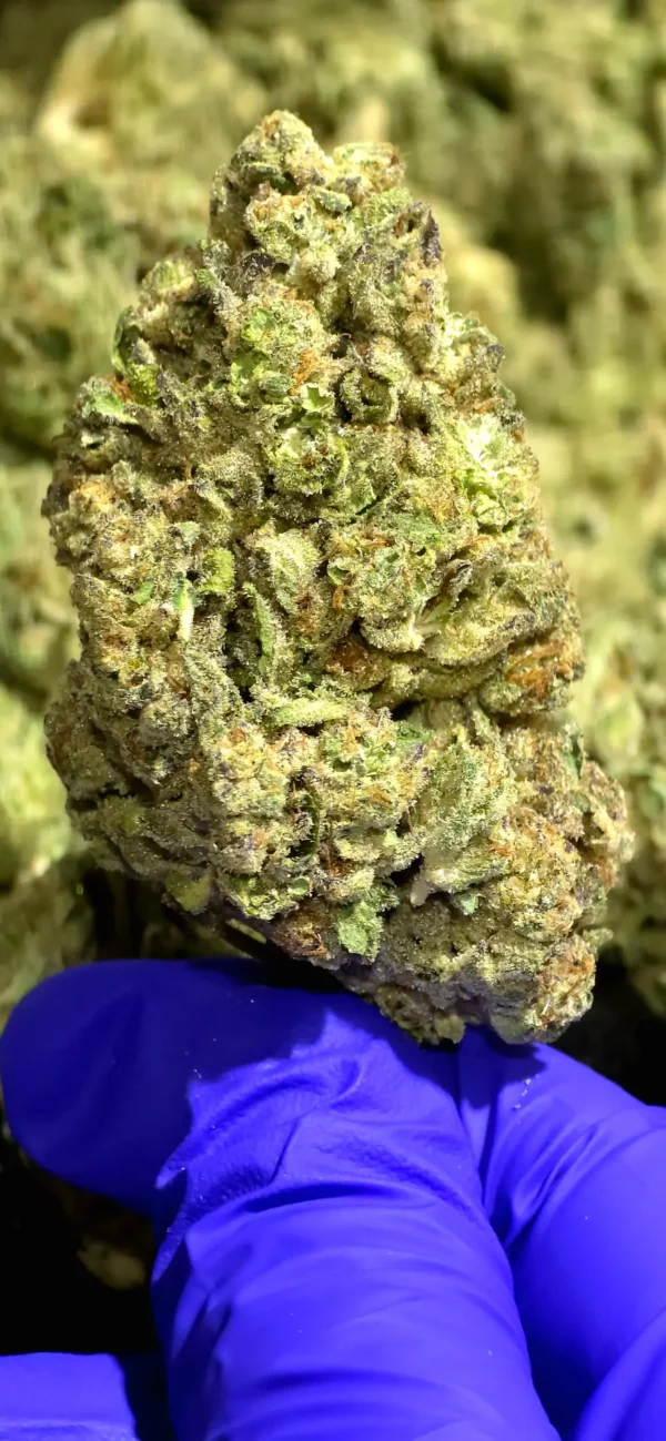 Jilly Bean Jilly Bean - THCa Flower - Sativa - 35.37% - Private Reserve