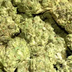 Jilly Bean - THCa Flower - Sativa - 35.37% - Private Reserve