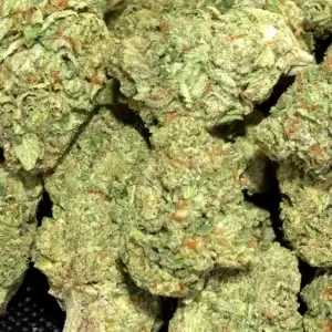 Kandy Kush - Indica Strain - THCa Flower - 28.09% - Light Dep