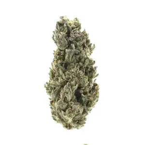 Kandy Kush - Indica Strain - THCa Flower - 28.09% - Light Dep