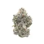 Mac Mintz THCa Flower Hybrid