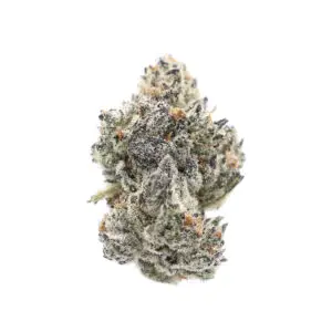 Mac Mintz THCa Flower Hybrid