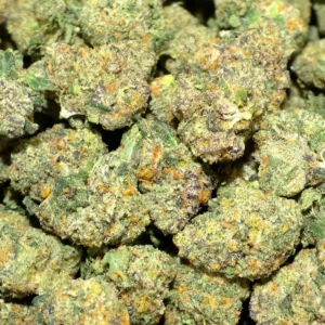 Memory Loss THCa Flower Sativa