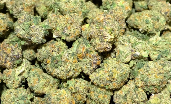 Memory Loss THCa Flower Sativa