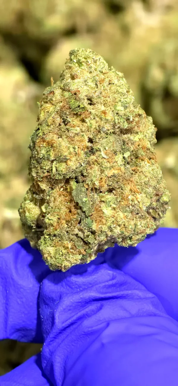 Peyote Haze THCa Flower Indica